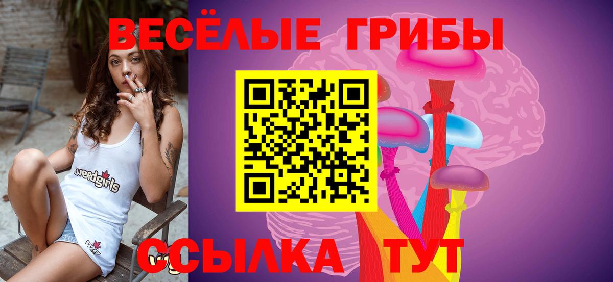 Галлюциногенные грибы MAGIC MUSHROOMS  Вход с VPN  Нерюнгри 